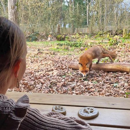 Hotel Center Parcs Le Bois Aux Daims Morton Zewnętrze zdjęcie