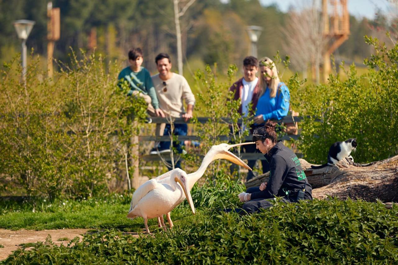 Hotel Center Parcs Le Bois Aux Daims Morton Zewnętrze zdjęcie