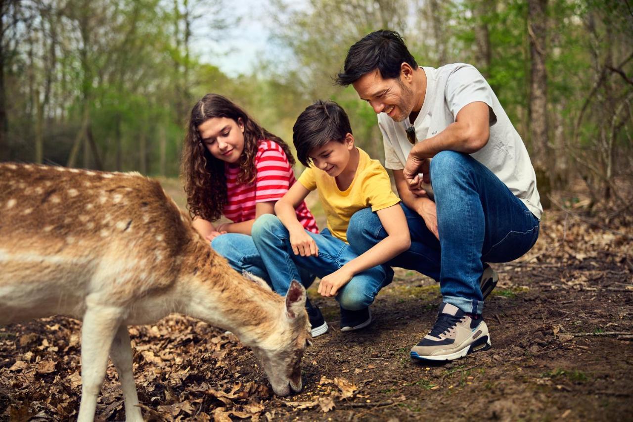 Hotel Center Parcs Le Bois Aux Daims Morton Zewnętrze zdjęcie