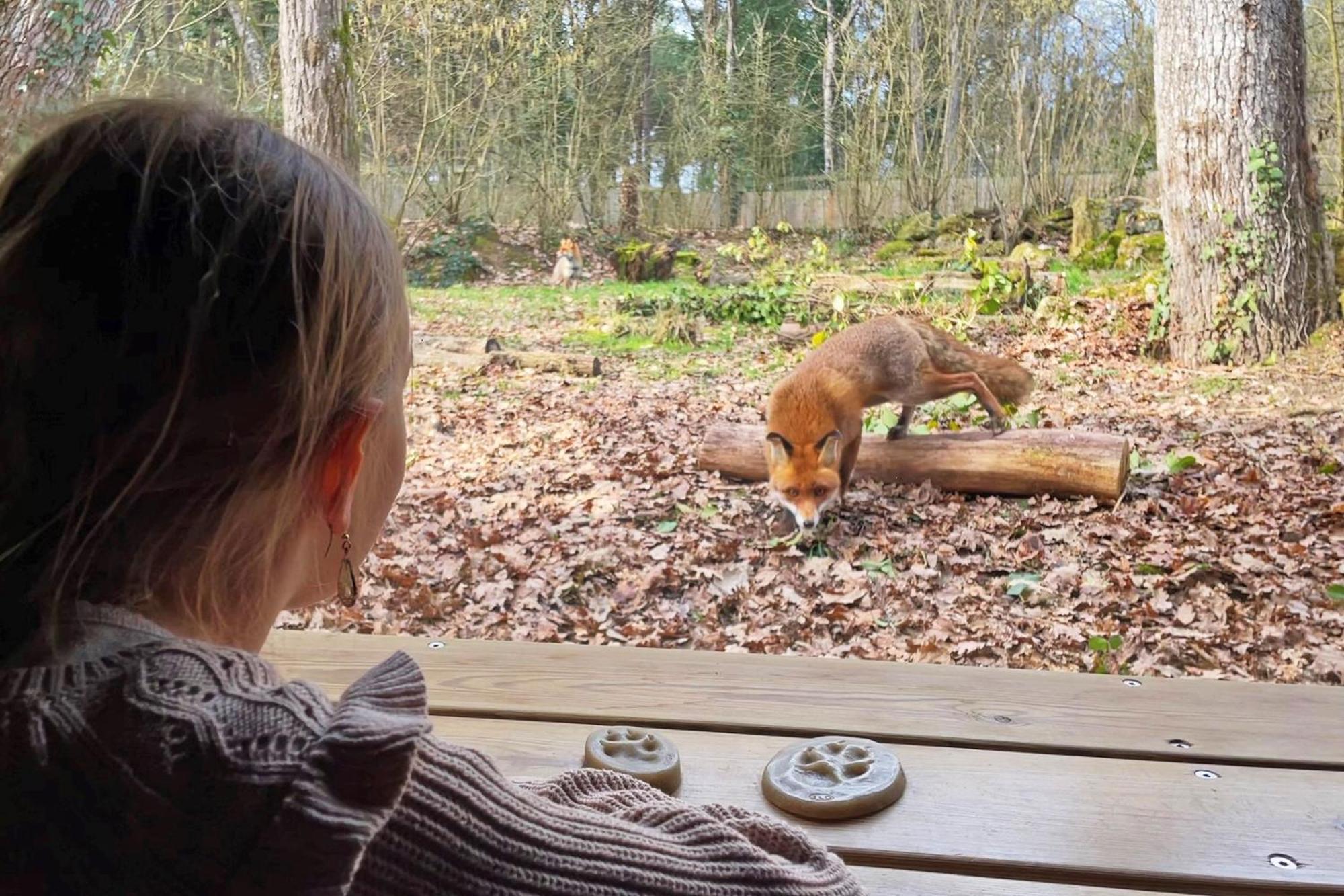 Hotel Center Parcs Le Bois Aux Daims Morton Zewnętrze zdjęcie